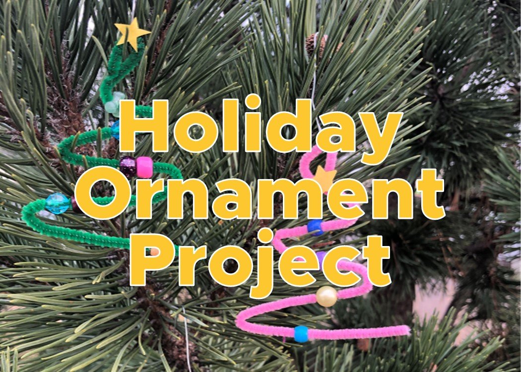 Holiday Ornament Project