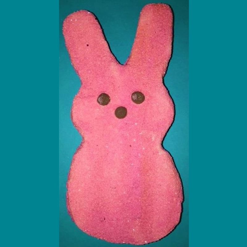 Kidcreate Studio - Chicago Lakeview, Clay Easter Peep Art Project