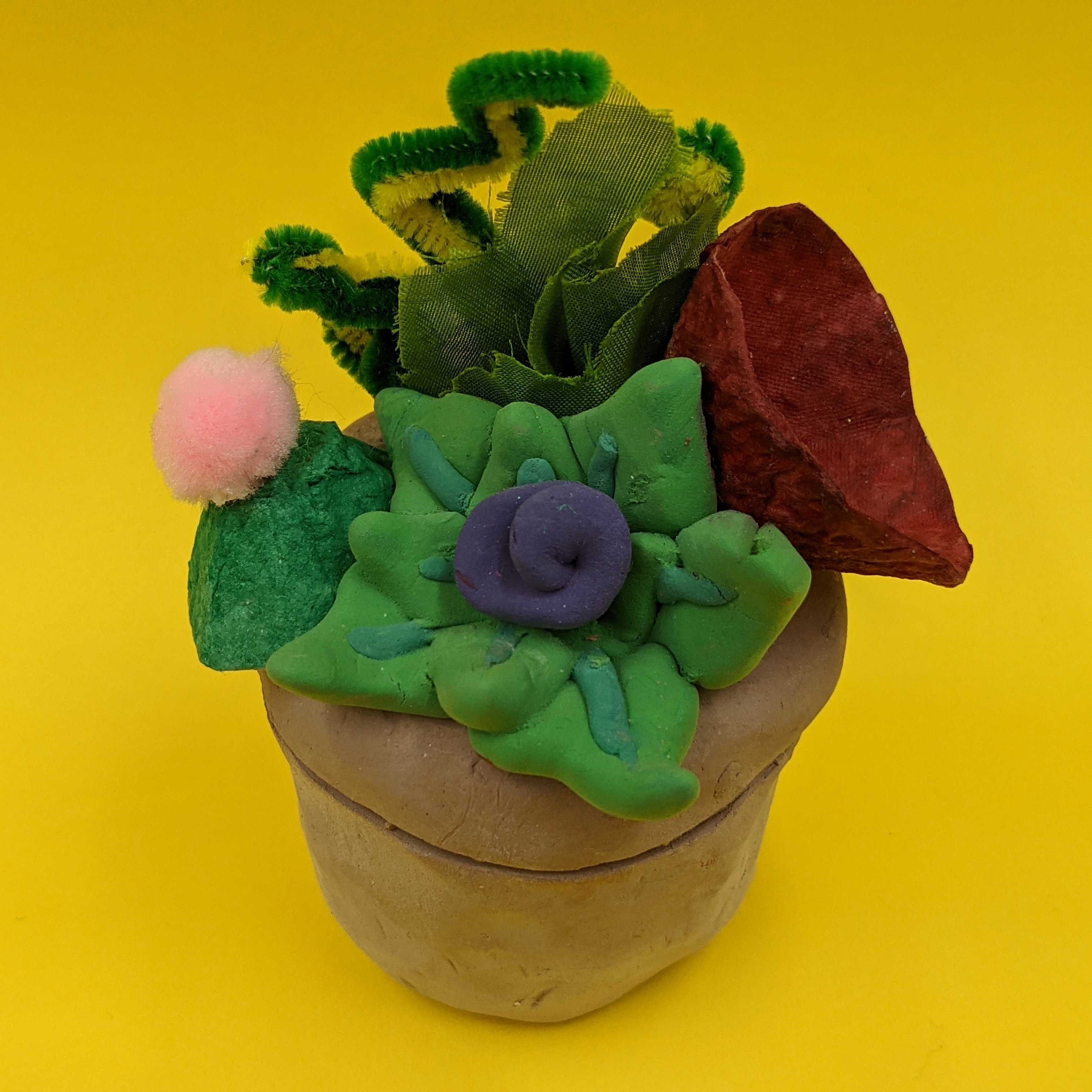 Kidcreate Studio - Chicago Lakeview, Succulent Art Project